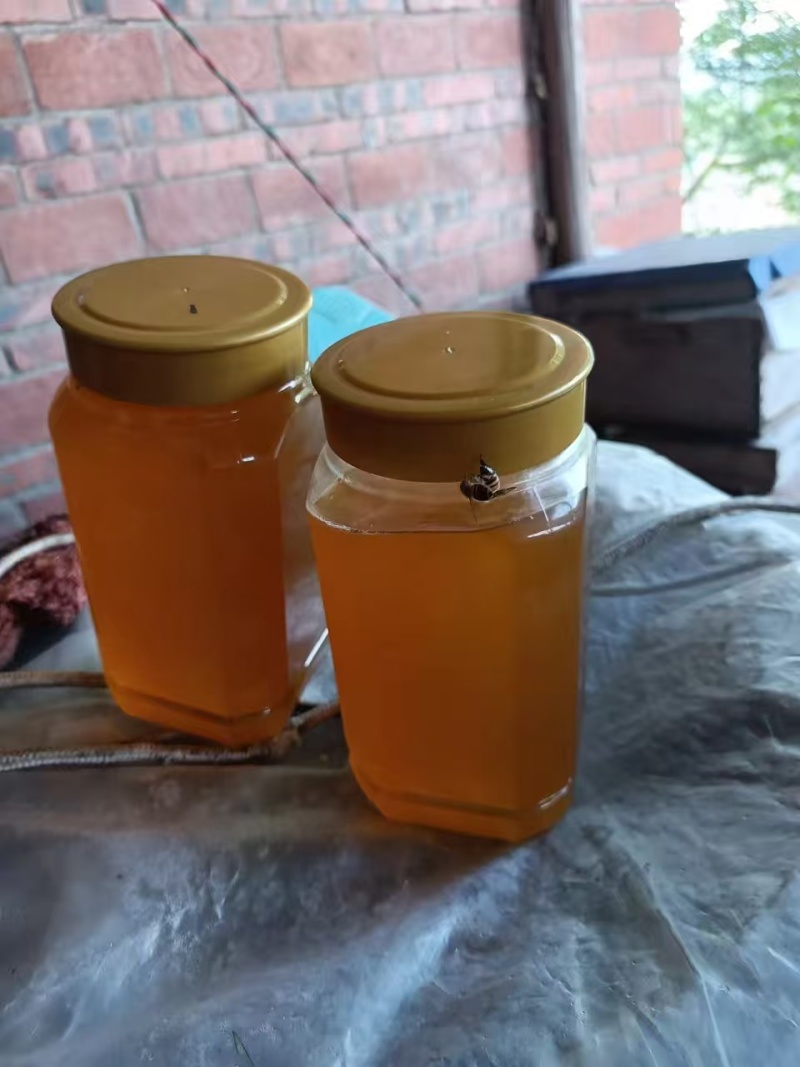 贵州土蜂蜜一颗白糖都没喂的蜂糖