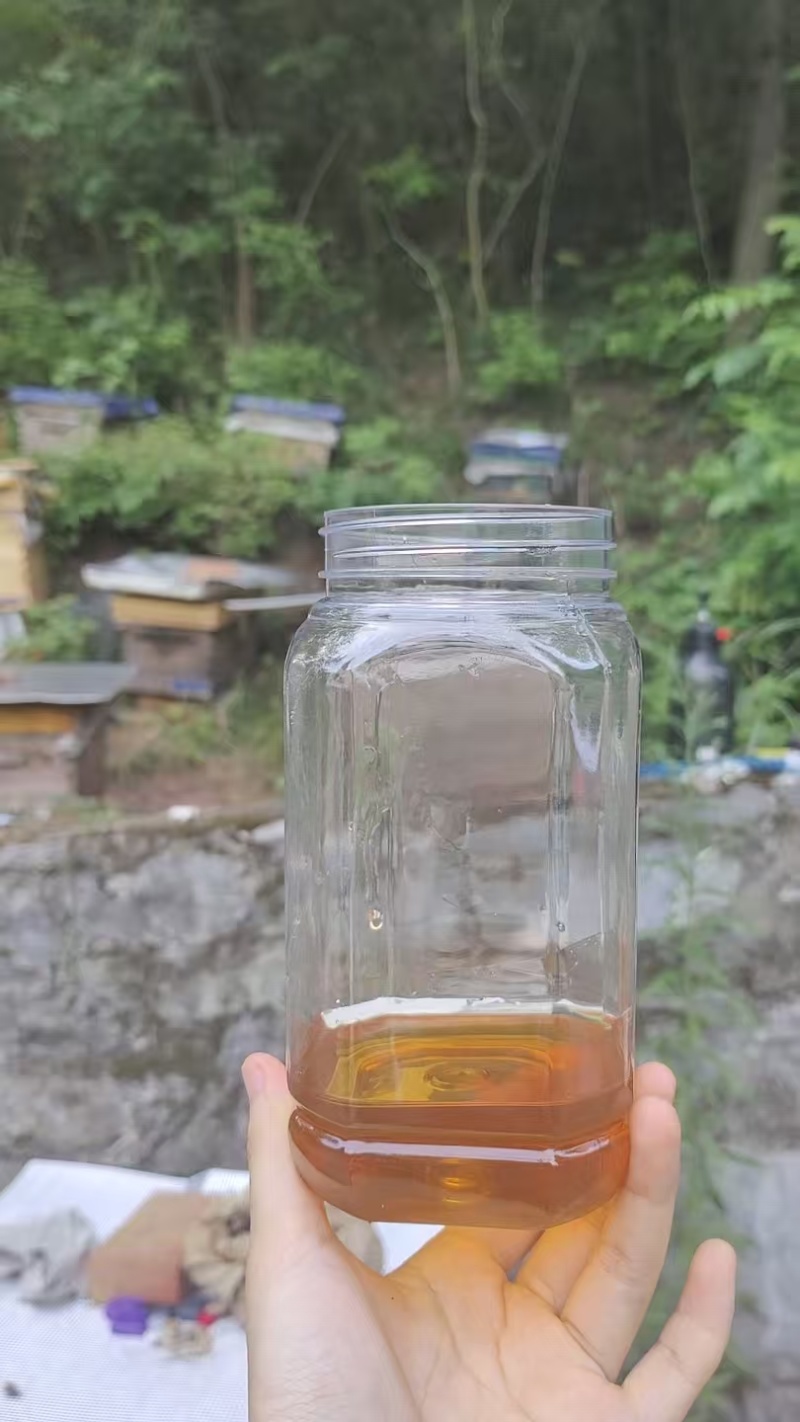 贵州土蜂蜜一颗白糖都没喂的蜂糖