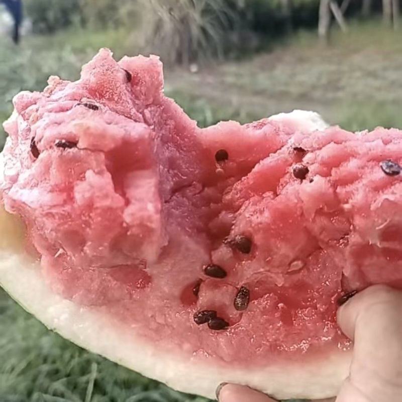 冰糖脆西瓜