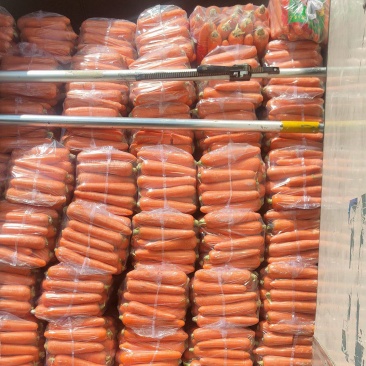 水洗精品中条胡萝卜