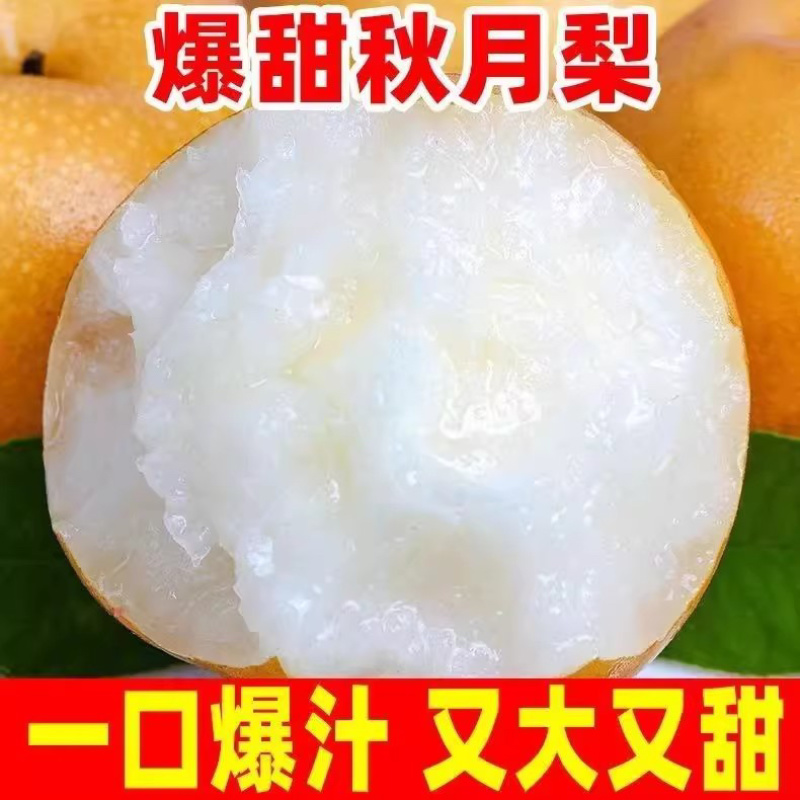 ￼圆黄梨秋月梨囗感脆甜保证质量一件代发批发商超