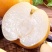 ￼圆黄梨砀山果园直发秋月梨按需包装一件代发批发商超