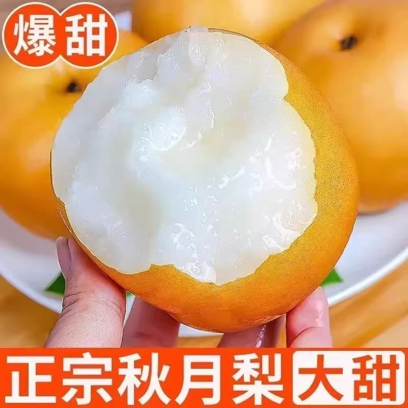￼圆黄梨砀山果园直发秋月梨按需包装一件代发批发商超