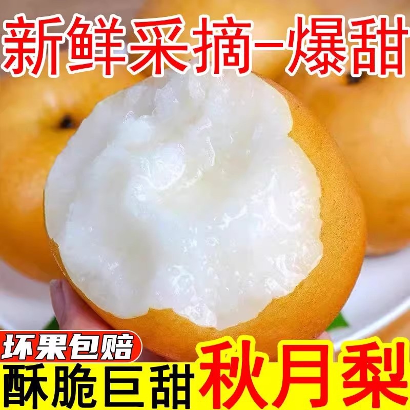 ￼圆黄梨砀山果园直发秋月梨按需包装一件代发批发商超
