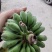 百色芒果，台农，桂七