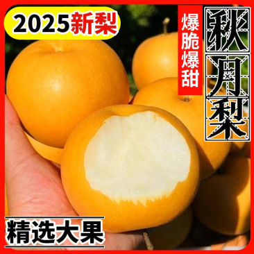 圆黄梨秋月梨脆甜果园直发保证质量一件代发商超批发