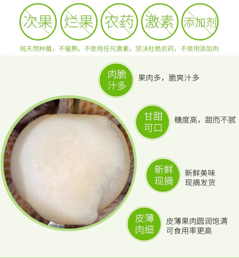 ￼圆黄梨秋月梨脆甜果园直发保证质量一件代发商超批发