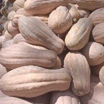 精品南瓜金韩蜜本南瓜老南瓜甜糯口感好货源足
