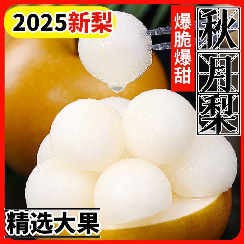 秋月梨圆黄梨果园直发保证质量一件代发代收商超批发零售