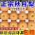 秋月梨圆黄梨果园直发保证质量一件代发代收商超批发零售