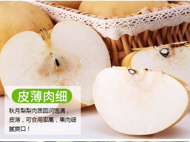秋月梨圆黄梨果园直发保证质量一件代发代收商超批发零售