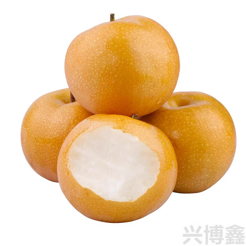 秋月梨圆黄梨果园直发保证质量一件代发代收商超批发零售