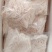 竹笋(笋尖)