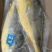 企事业团购，两天装。经济实惠品质优
