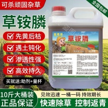 10斤正品草铵膦高浓度除草剂顽固性杂草专用除草剂