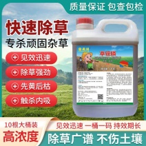 10斤装高浓度草铵膦除草剂果园不伤果树斩草除根通杀草剂