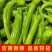 精品粗尖椒细尖椒大量上市新鲜辣椒-质量保证-一手货源价格优
