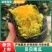 【精品】陕西榆林贝贝南瓜新鲜上市，基地现采现发，欢迎订购