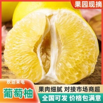 精品葡萄柚带叶子葡萄柚果肉爆汁货源充足