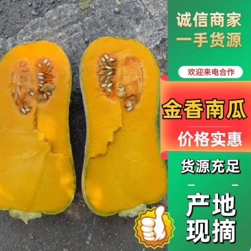金香南瓜大量有货量大从优保质保量可对接商超市场