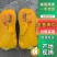 金香南瓜大量有货量大从优保质保量可对接商超市场