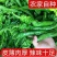 新鲜螺丝椒大量有货-现摘现发-一手货源-承接电商档口商超市