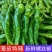 新鲜螺丝椒大量有货-现摘现发-一手货源-承接电商档口商超市