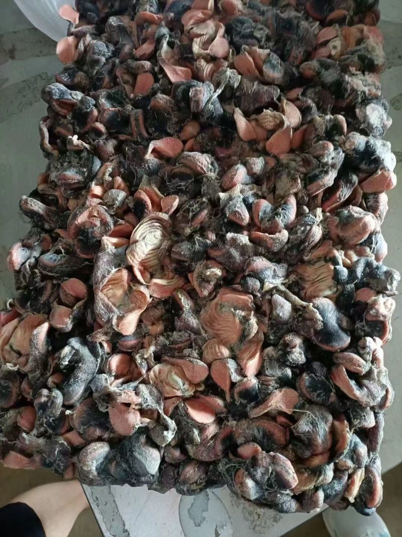 板冻乌鸡胗
