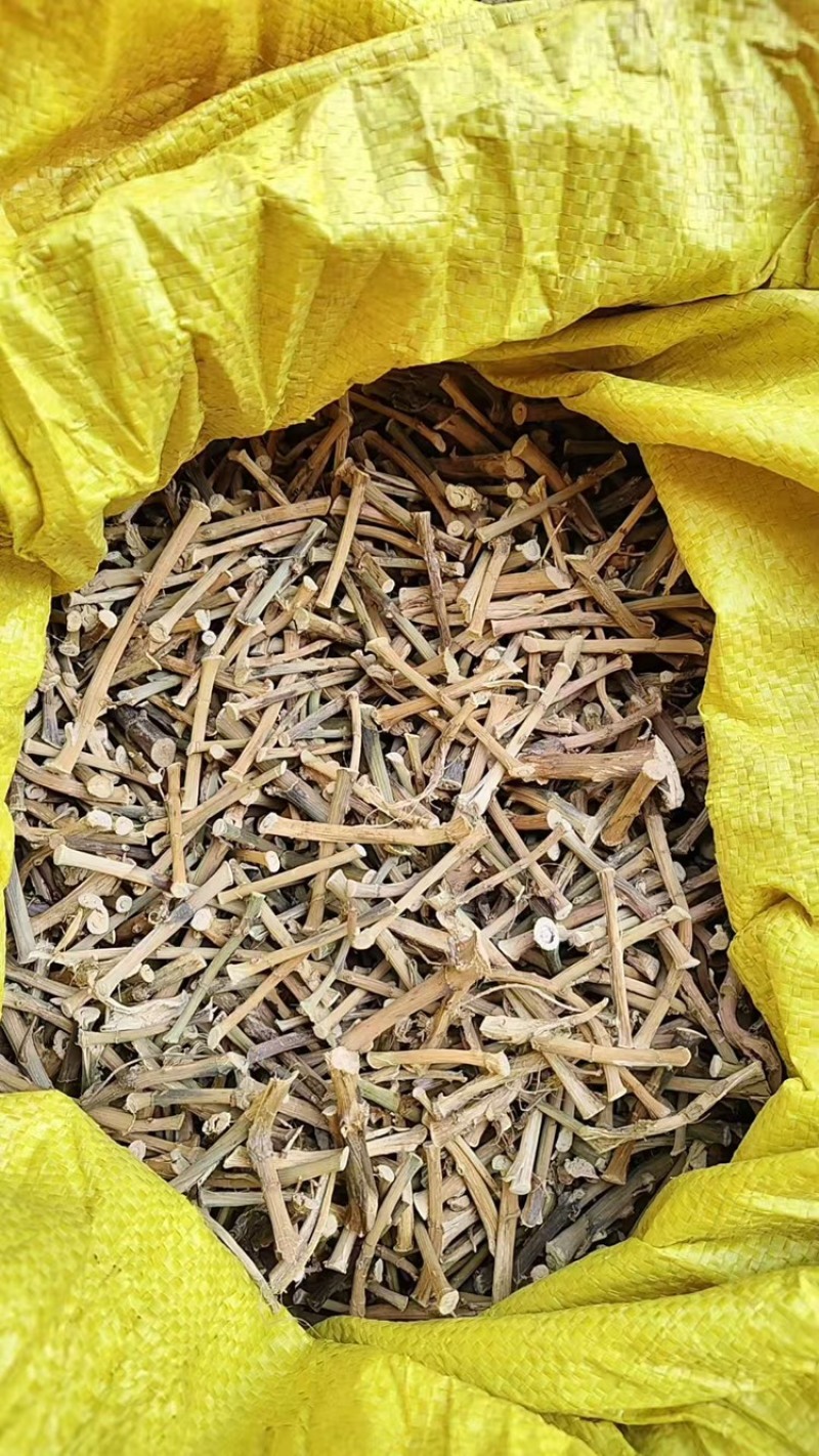 云南精品砂仁根产地直发品质保证量大从优一手货源