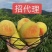 锦绣黄桃预售中