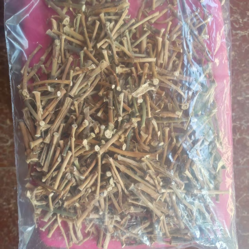 砂仁根精品中药材中药根茎药材精品砂仁根现货可视频看货