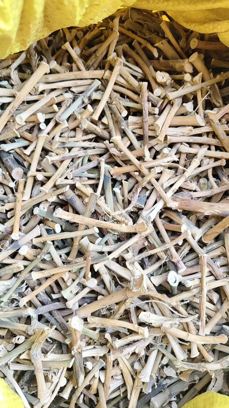 砂仁根精品中药材中药根茎药材精品砂仁根现货可视频看货