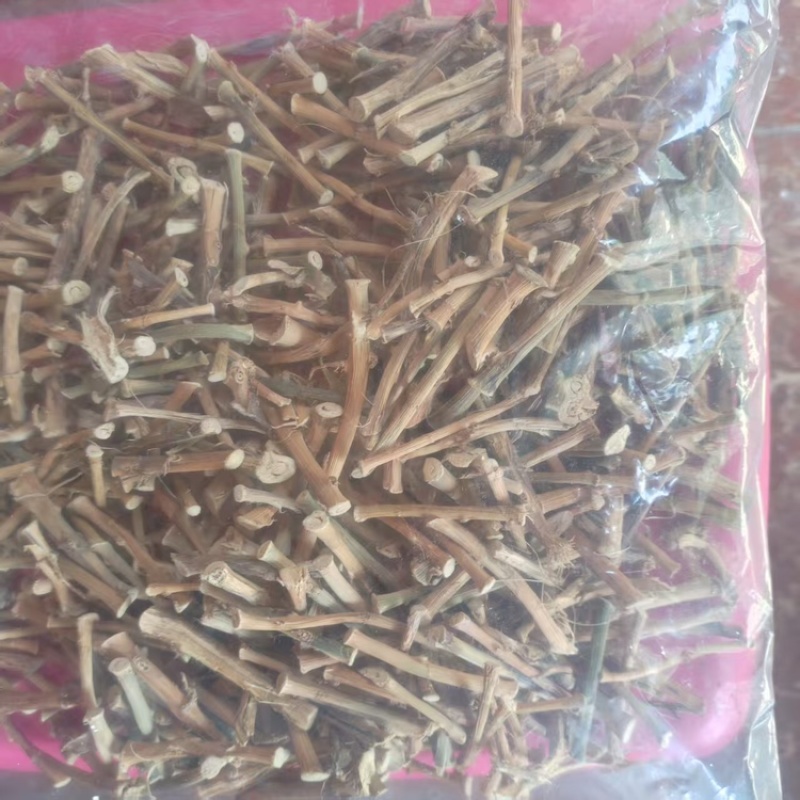 砂仁根精品中药材中药根茎药材精品砂仁根现货可视频看货