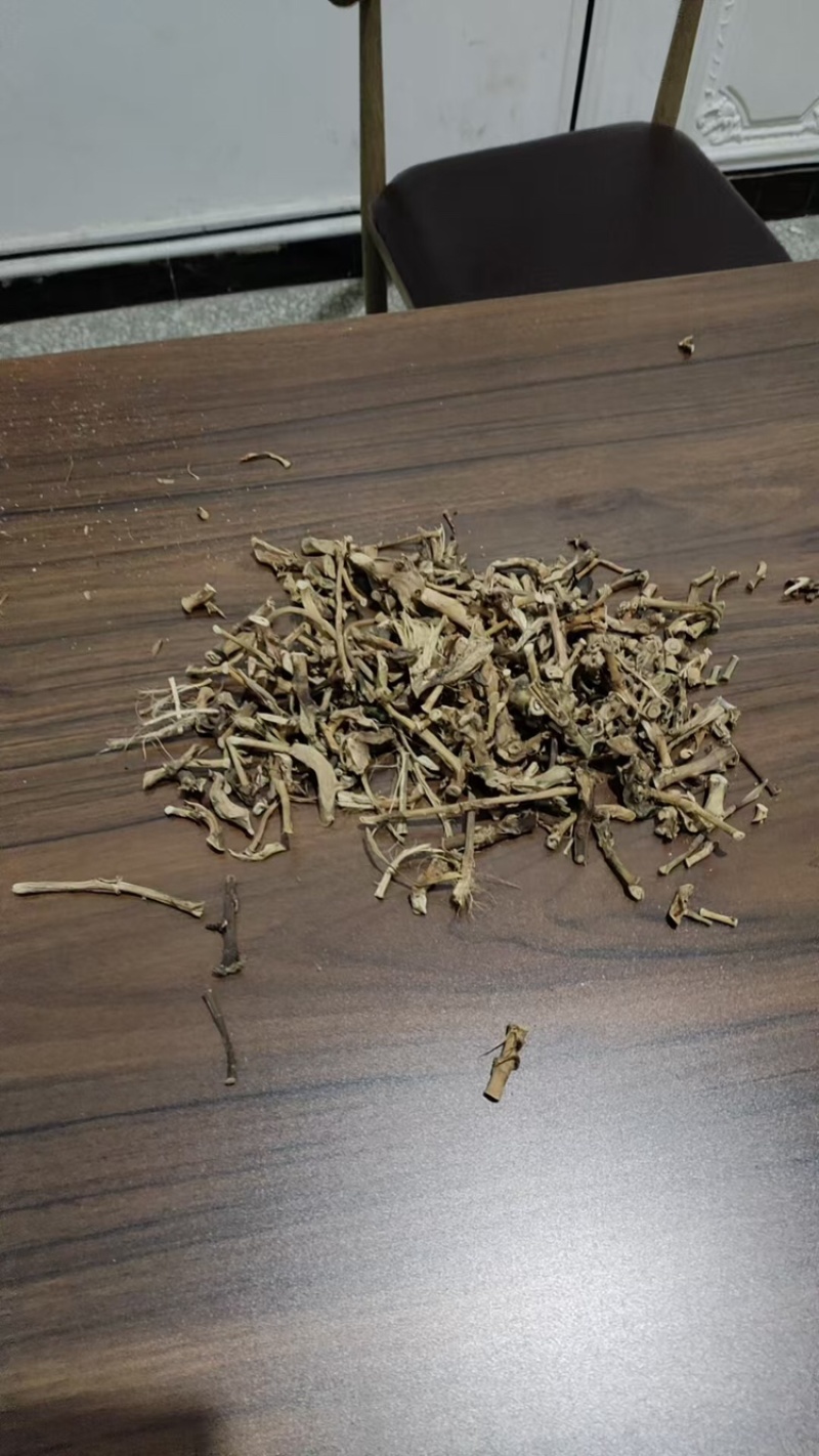 云南砂仁根中药材中药根茎药材精品砂仁根现货大量供应