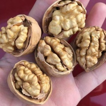 质量有保障！欢迎光临