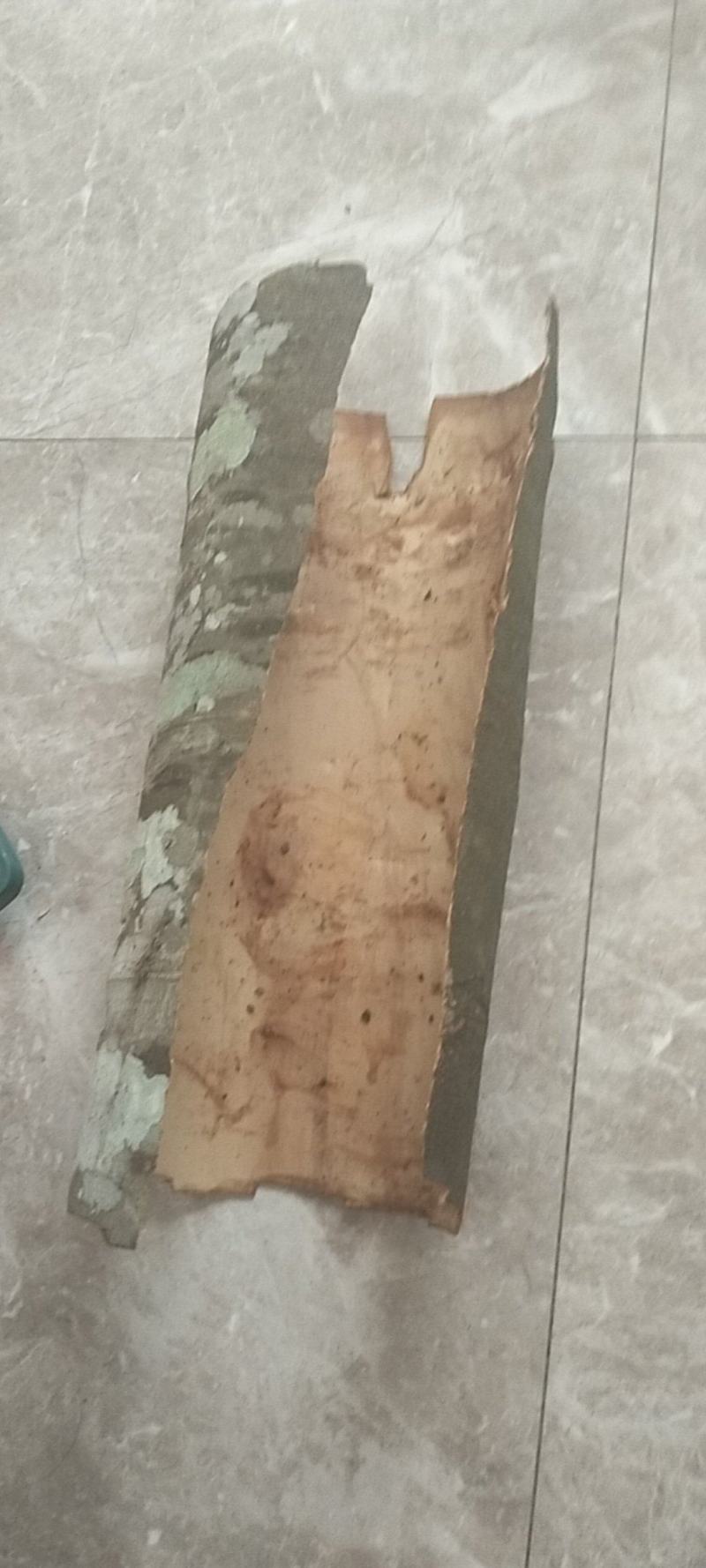桂皮，干货湿货都可以
