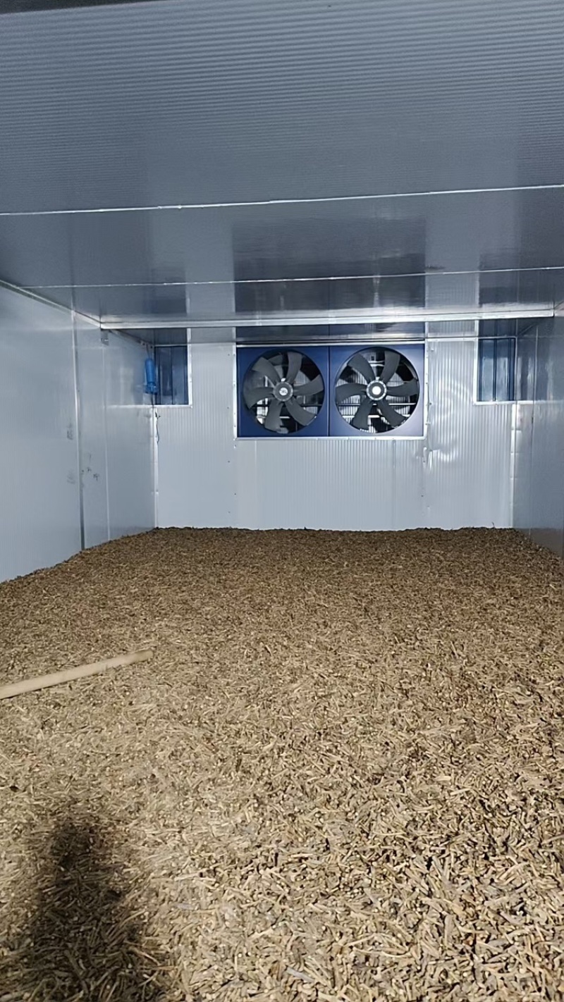 云南砂仁根中药材中药根茎药材精品砂仁根现货大量供应