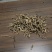 云南砂仁根中药材中药根茎药材精品砂仁根现货大量供应