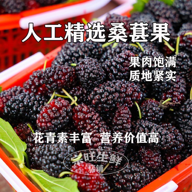 【桑葚醋饮品】荞麦醋泡桑葚食用果醋无添新鲜健康饮品桶装