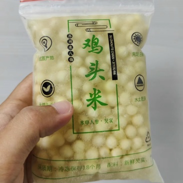 苏州苏芡新鲜纯本地