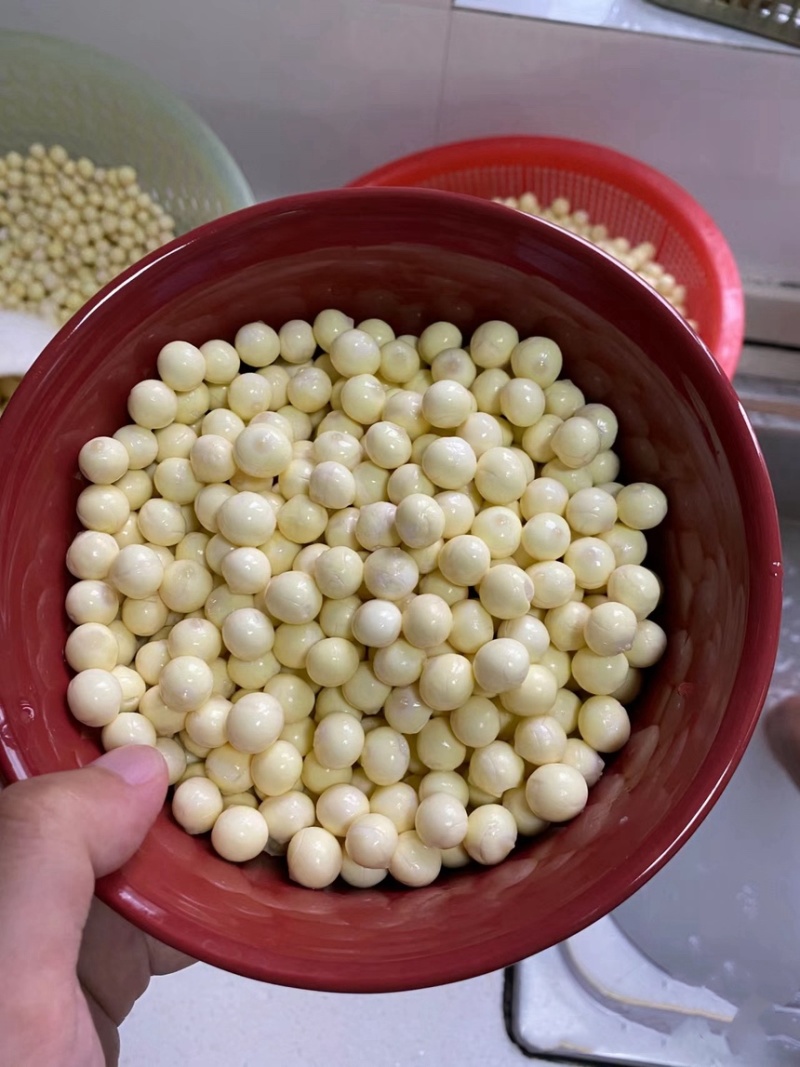 苏州苏芡新鲜纯本地