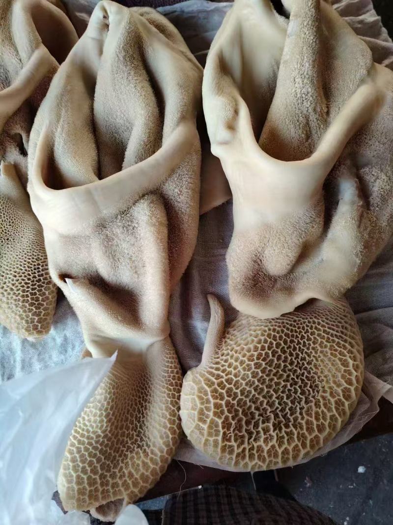 牛副产品，一应俱全。加工好的