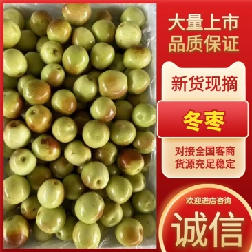 冬枣大量有货量大从优价格运费可以协商欢迎来咨询