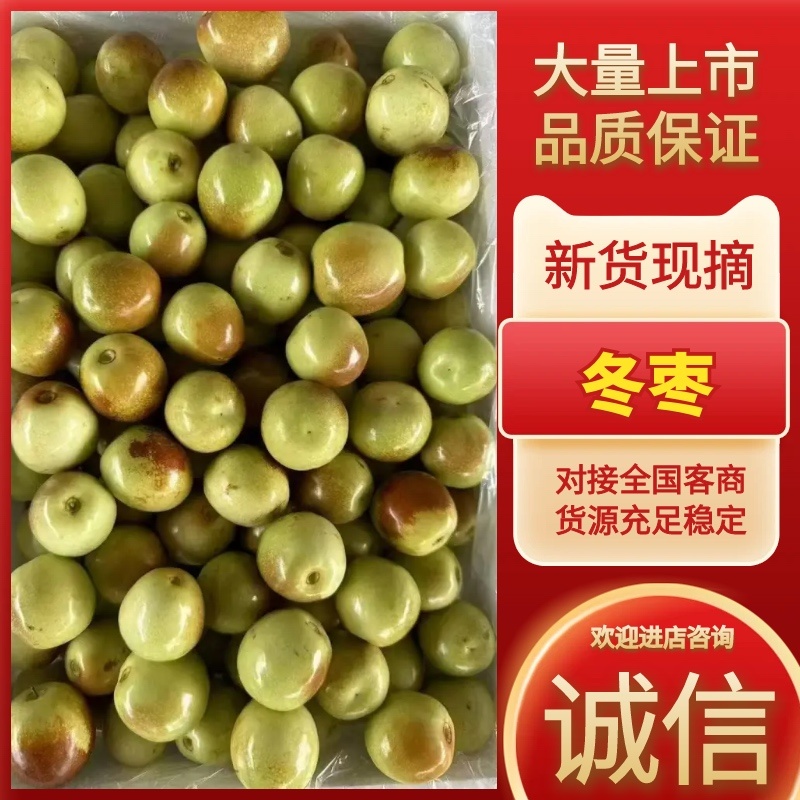 冬枣大量有货量大从优价格运费可以协商欢迎来咨询