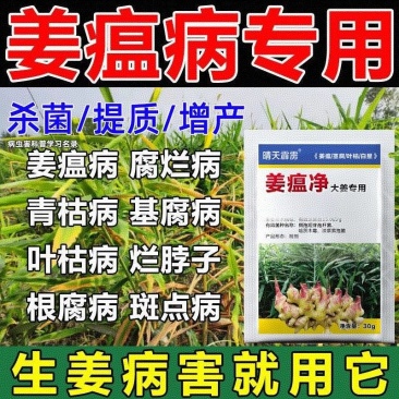姜瘟清净温必灵干尖黄叶生大种沙杀菌剂烂脖子农病防颈基腐专