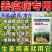 姜瘟清净温必灵干尖黄叶生大种沙杀菌剂烂脖子农病防颈基腐专