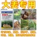 姜瘟清净温必灵干尖黄叶生大种沙杀菌剂烂脖子农病防颈基腐专