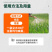 姜瘟清净温必灵干尖黄叶生大种沙杀菌剂烂脖子农病防颈基腐专