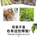 姜瘟清净温必灵干尖黄叶生大种沙杀菌剂烂脖子农病防颈基腐专