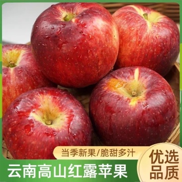 云南高原红露苹果货源充足品质保证对接高端商超